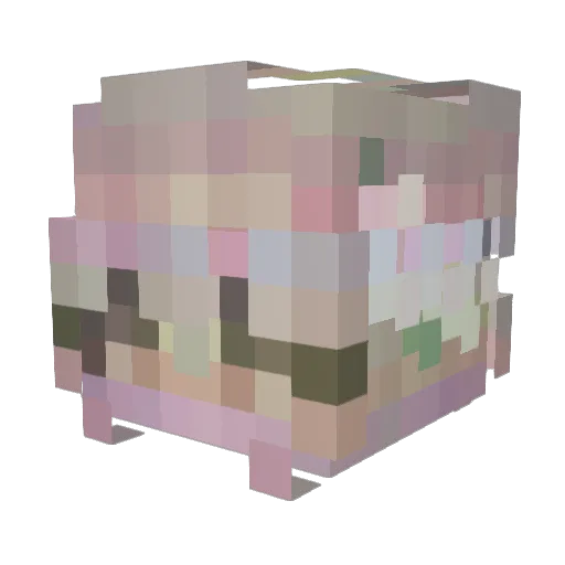 PurpleStarfire9 Minecraft avatar head, 3D render