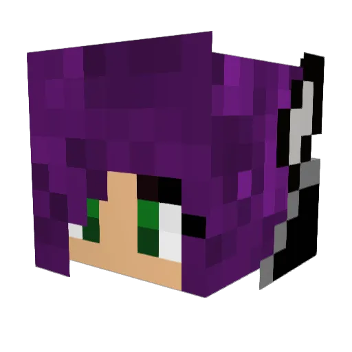 PurpleStorm666 Minecraft avatar head, 3D render