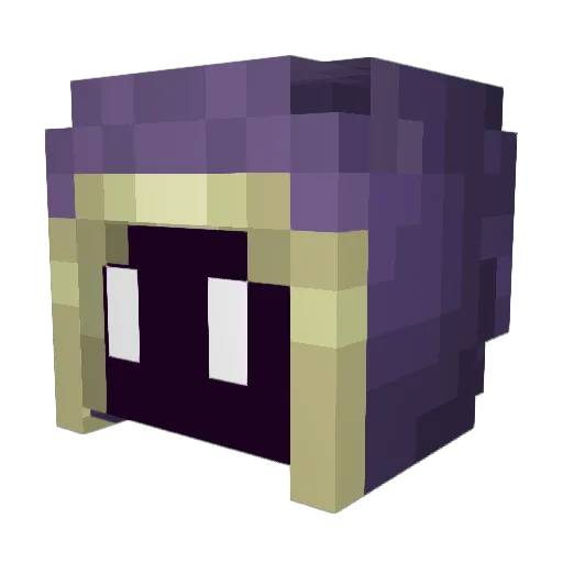 PurpleTrance Minecraft avatar head, 3D render
