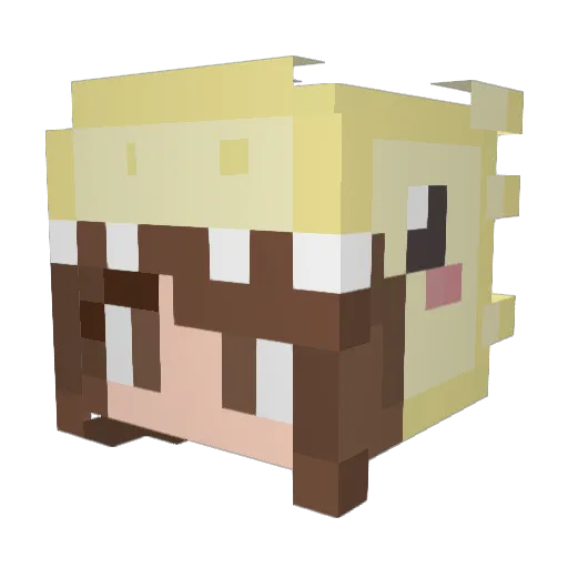 PurpleUNIcorN7 Minecraft avatar head, 3D render