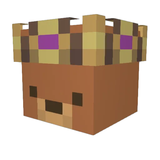 PurpleWalrus82 Minecraft avatar head, 3D render