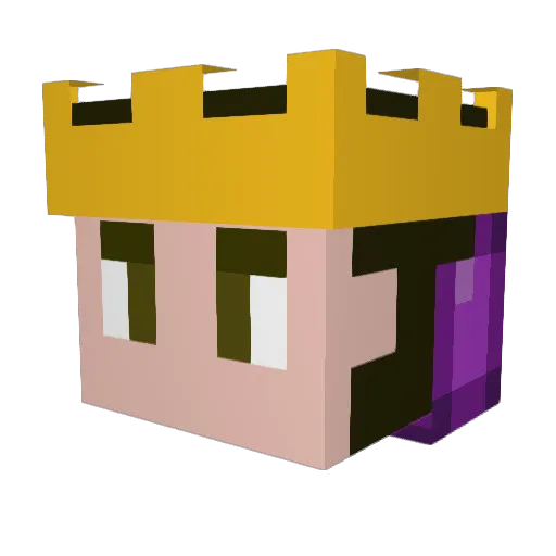 Purple_Joey Minecraft avatar head, 3D render