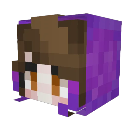 Purple_birdy Minecraft avatar head, 3D render
