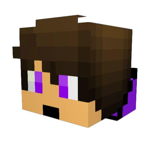 Purple_boi14 Minecraft avatar head, 3D render