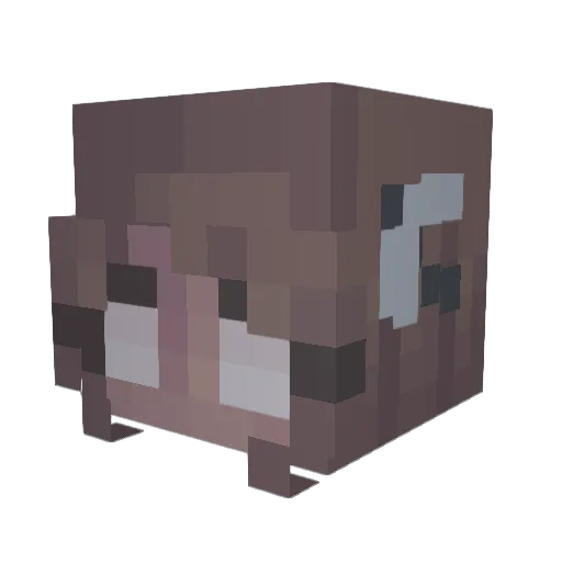 Purpletoes650 Minecraft avatar head, 3D render