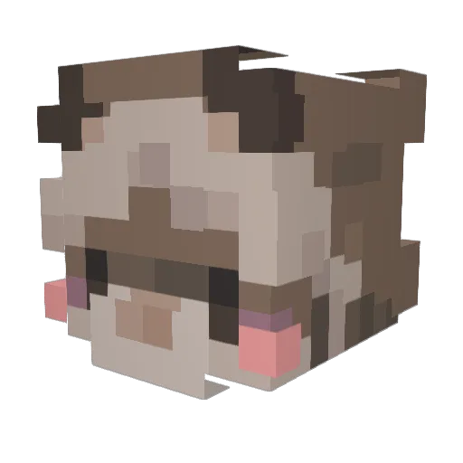 PurrfectAkira Minecraft avatar head, 3D render