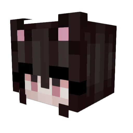 Purrin_Pip Minecraft avatar head, 3D render