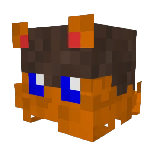 Pusduly Minecraft avatar head, 3D render