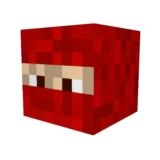 PushLicorne Minecraft avatar head, 3D render