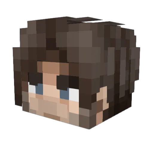 Pusheeka Minecraft avatar head, 3D render