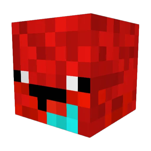 Pusheen417 Minecraft avatar head, 3D render