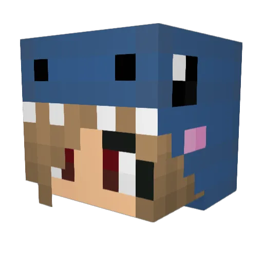 PusheenCatDK Minecraft avatar head, 3D render