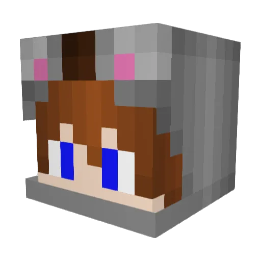 Pusheen_Boy Minecraft avatar head, 3D render