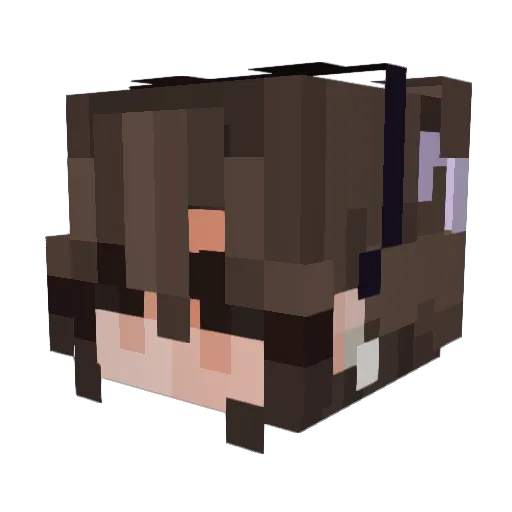 PusheentheCat11 Minecraft avatar head, 3D render