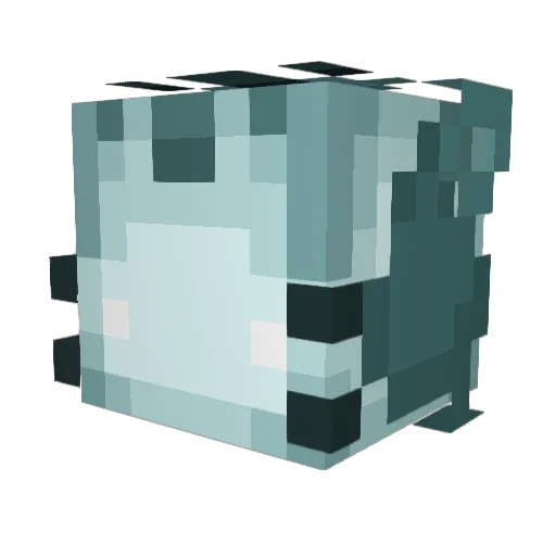 PusheentheCat11 Minecraft avatar head, 3D render