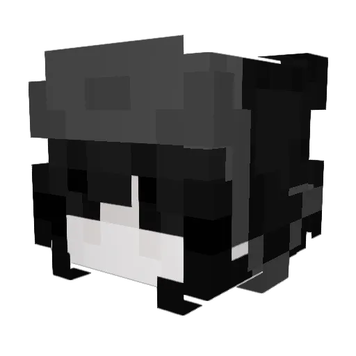 Pusschen Minecraft avatar head, 3D render