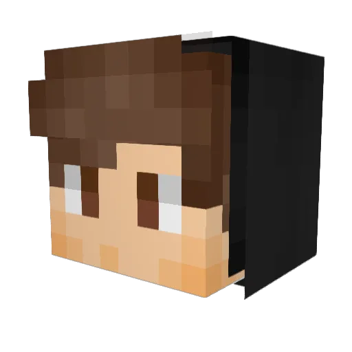 PustaN Minecraft avatar head, 3D render
