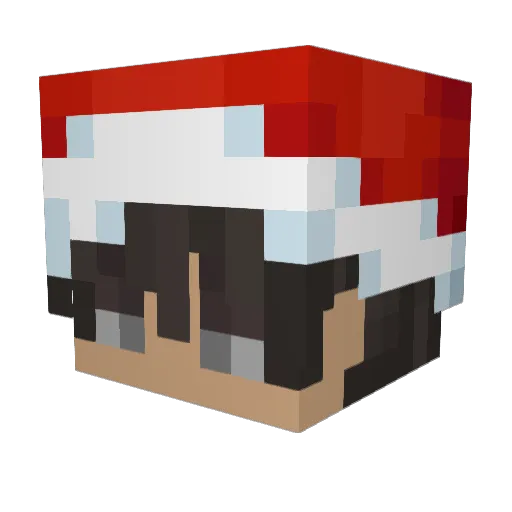 Pusthh Minecraft avatar head, 3D render