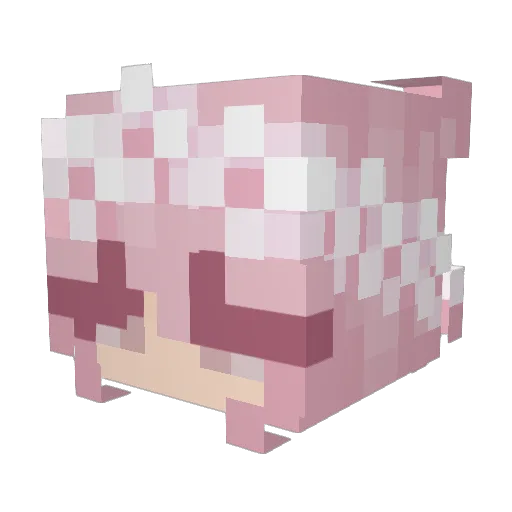 Puszeczka Minecraft avatar head, 3D render