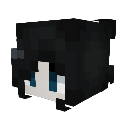 PutOnDatMisery Minecraft avatar head, 3D render