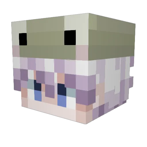 Putrescentibus Minecraft avatar head, 3D render