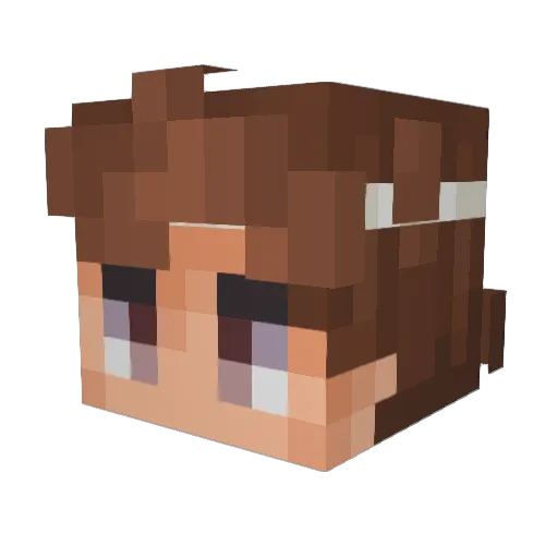 Puudd Minecraft avatar head, 3D render