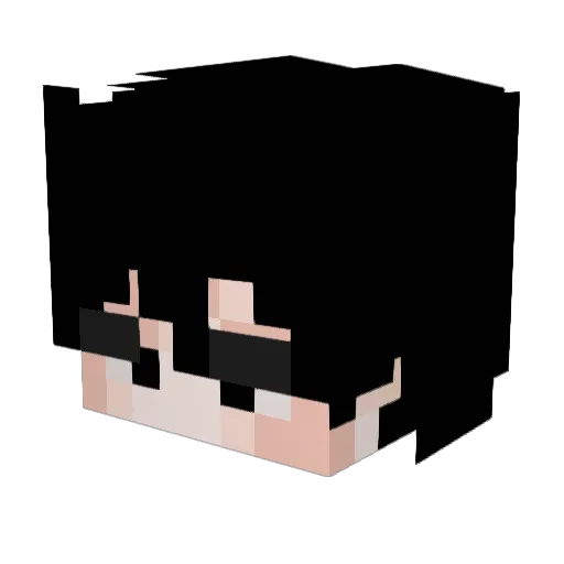 Puulay Minecraft avatar head, 3D render