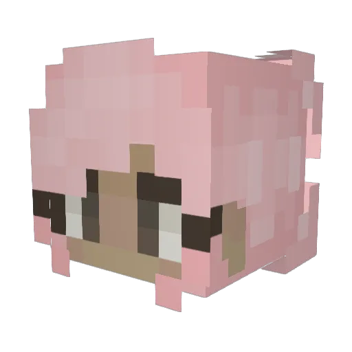 Puwpi Minecraft avatar head, 3D render