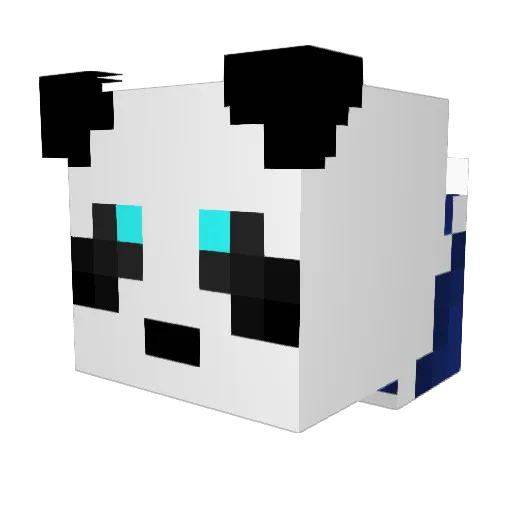 PvP4nda Minecraft avatar head, 3D render
