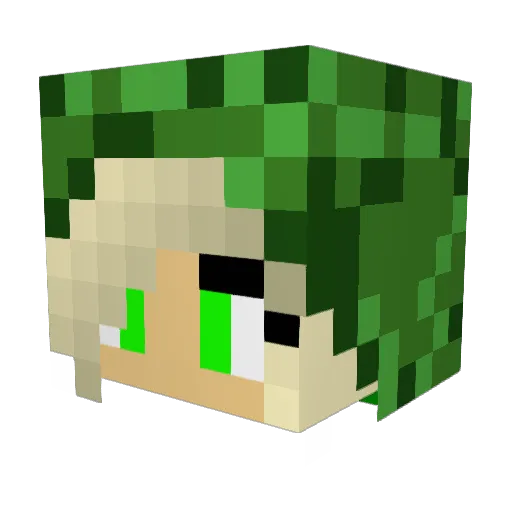 PvPBoss0100 Minecraft avatar head, 3D render