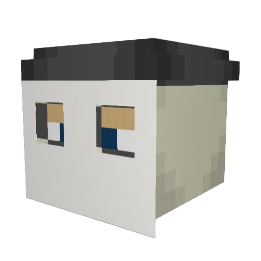 PvPGod_Br Minecraft avatar head, 3D render