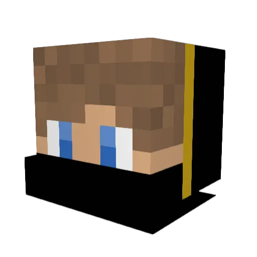 PvPNoob_ Minecraft avatar head, 3D render