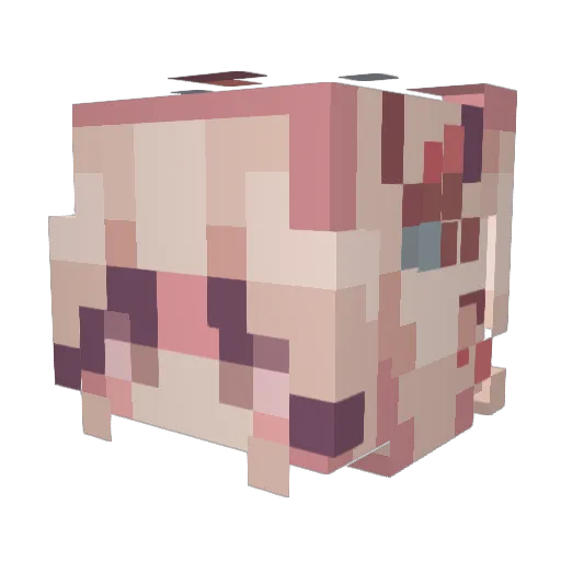 PvPPro23 Minecraft avatar head, 3D render