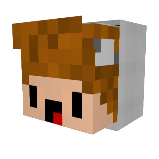 PvP_ByTheWay Minecraft avatar head, 3D render