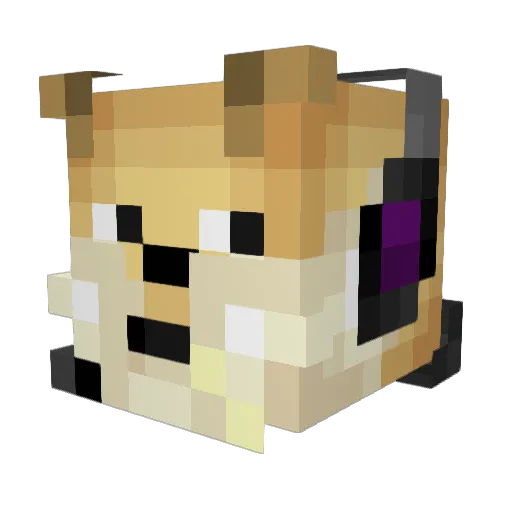 PvP_KiLLA_PrO Minecraft avatar head, 3D render