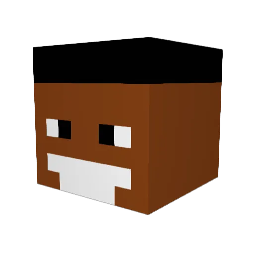 PvPaiden29 Minecraft avatar head, 3D render