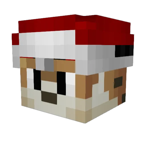 Pvbragt Minecraft avatar head, 3D render