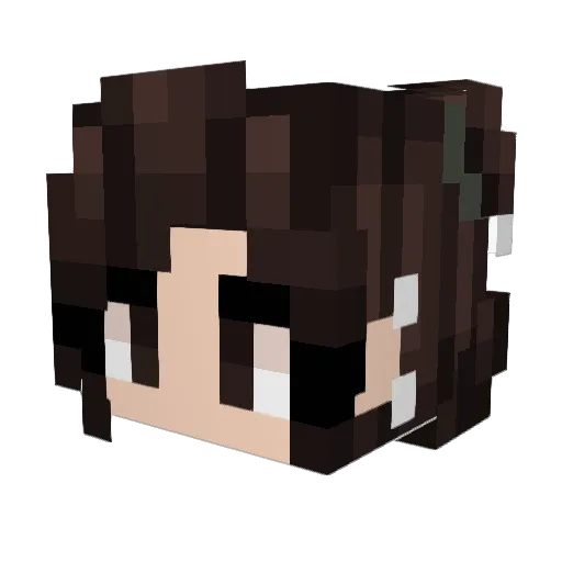 PvpMaster1995 Minecraft avatar head, 3D render
