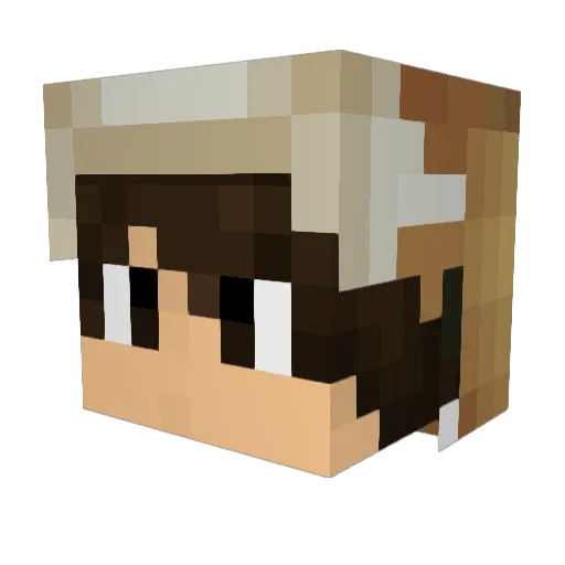 PvpSwagBoii Minecraft avatar head, 3D render