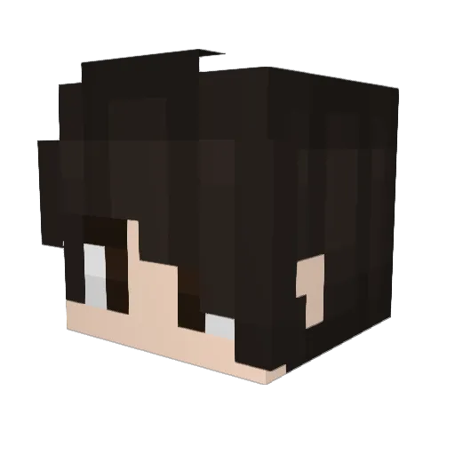 Pvppeis Minecraft avatar head, 3D render