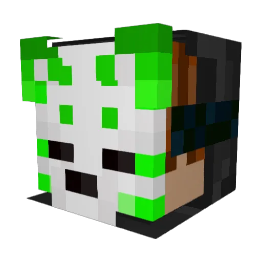 PvtHamsteR Minecraft avatar head, 3D render