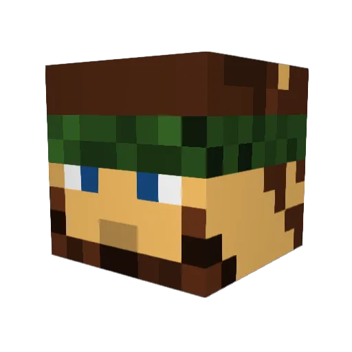 PvtSnowball10 Minecraft avatar head, 3D render