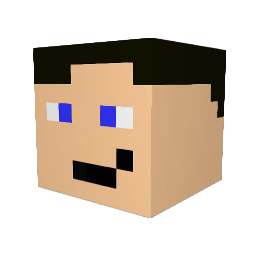 Pvt_Meatshield Minecraft avatar head, 3D render