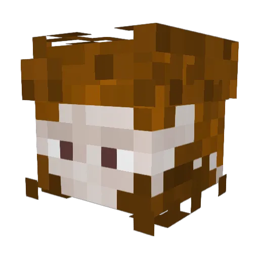 Pvt_Prts Minecraft avatar head, 3D render