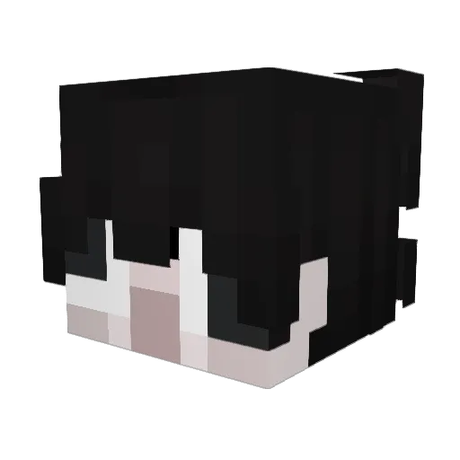 Pvtako Minecraft avatar head, 3D render