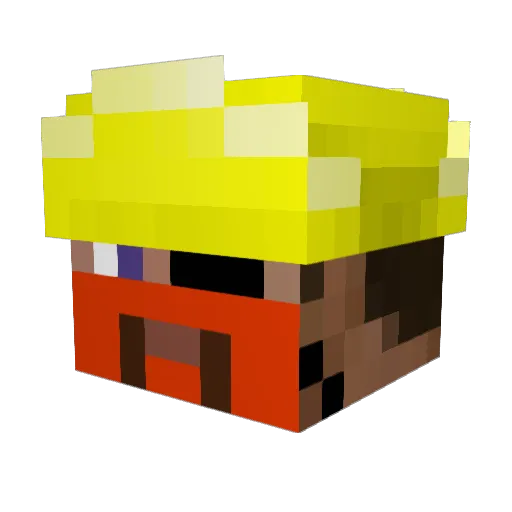 Pwarteer Minecraft avatar head, 3D render
