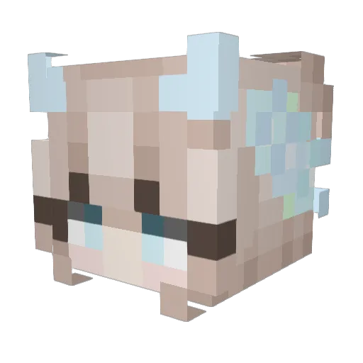 PwdSuga Minecraft avatar head, 3D render