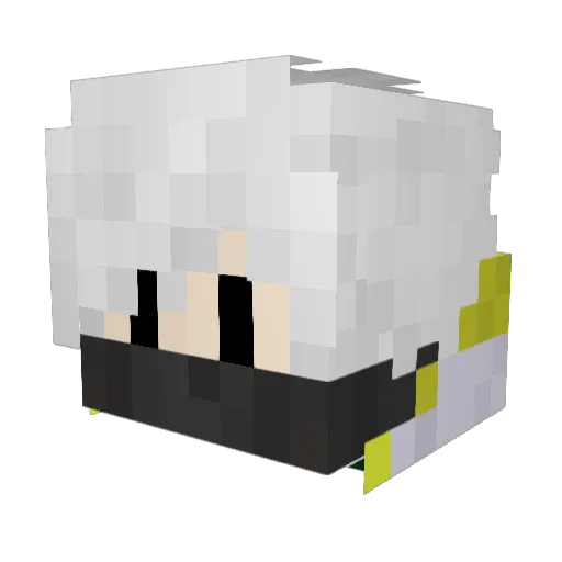 Pweeg Minecraft avatar head, 3D render