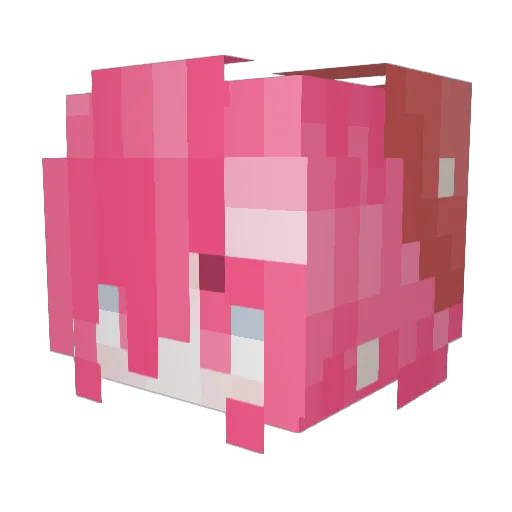 Pwhite555 Minecraft avatar head, 3D render
