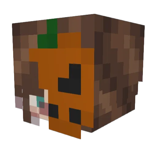 Pwigeon Minecraft avatar head, 3D render